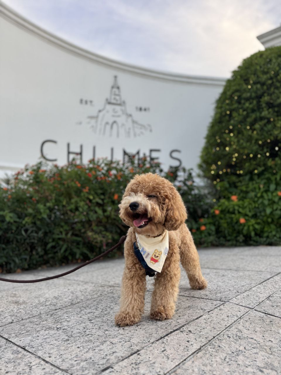 Floof Bib